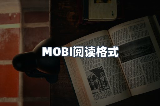 EPUB电子书